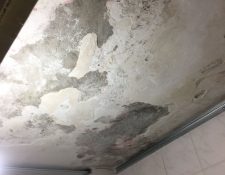 IMG-20210621-WA0001
