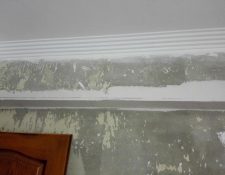 IMG-20210621-WA0049
