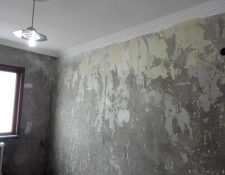 IMG-20210621-WA0050