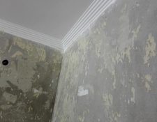 IMG-20210621-WA0051
